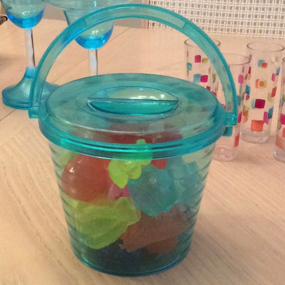 Never melting ice bucket partyware w/24 fruits
